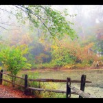 Celebrate Earth Day. Visit a Nature Center.
