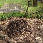 celebrate-earth-day-start-a-compost-bin