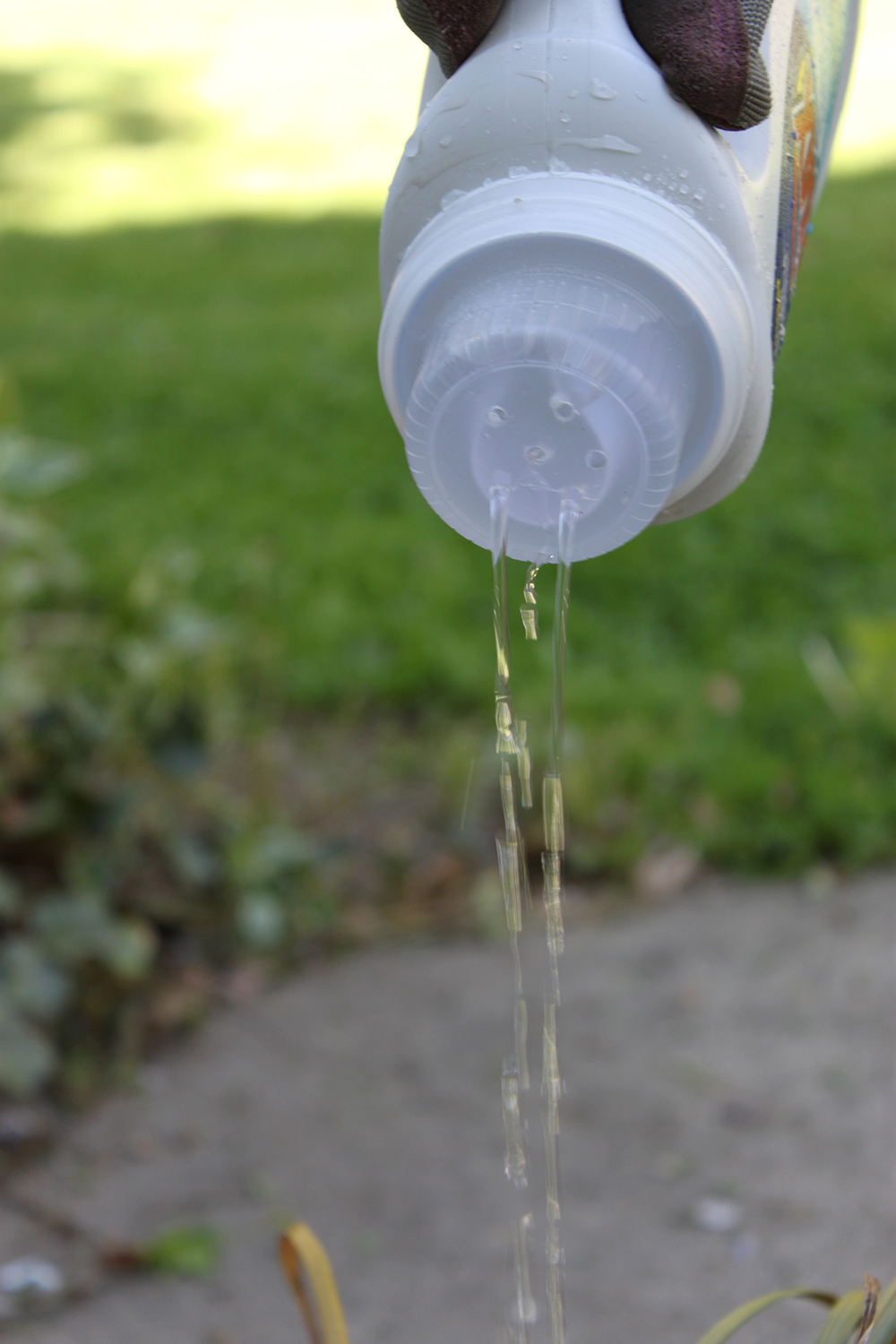 Upcycle a laundry detergent jug into an easy DIY watering can 1 More Than 2