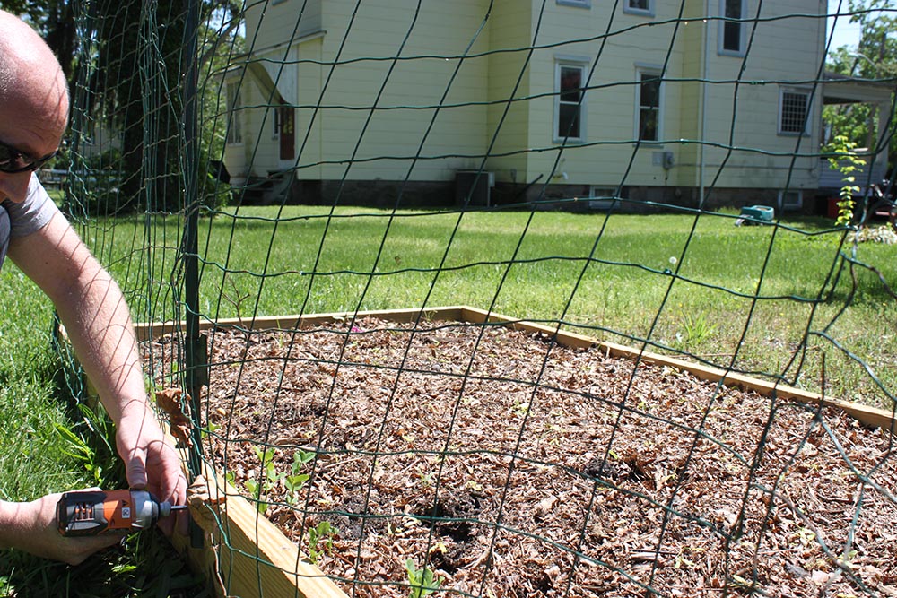 Ways to keep animals out of your garden build a simple fence 1 More Than 2