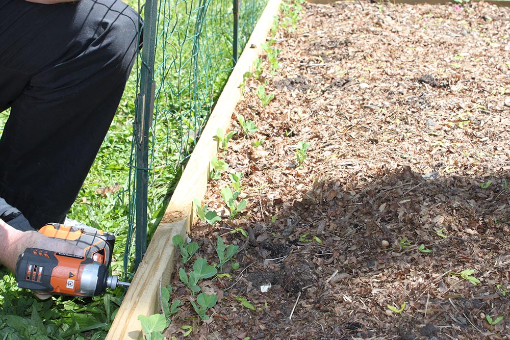 Ways to keep animals out of your garden build a simple fence 1 More Than 2