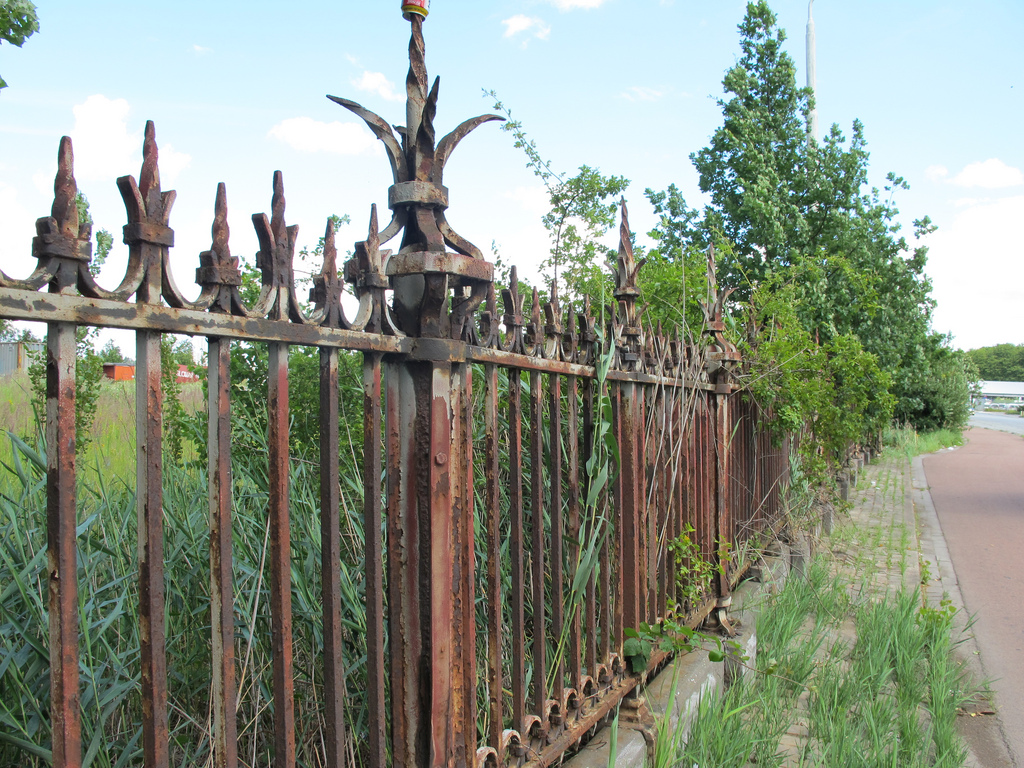 FREE Garden Fence! Repurposed Old Headboard creates trellis for roses